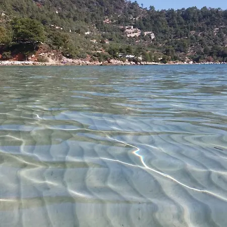 Tasos