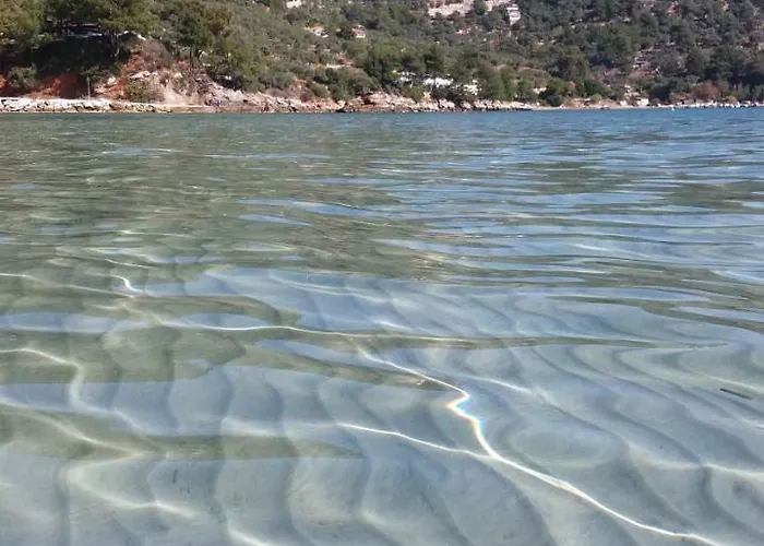 Tasos