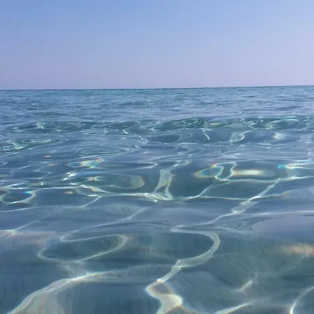 Aparthotel Tasos Chrysi Ammoudia