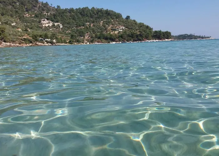 公寓式酒店 Tasos