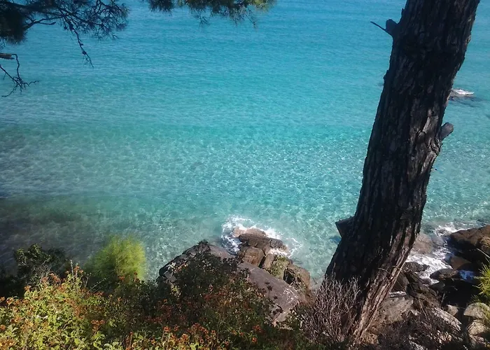 Tasos 公寓式酒店 克里斯阿穆迪亚